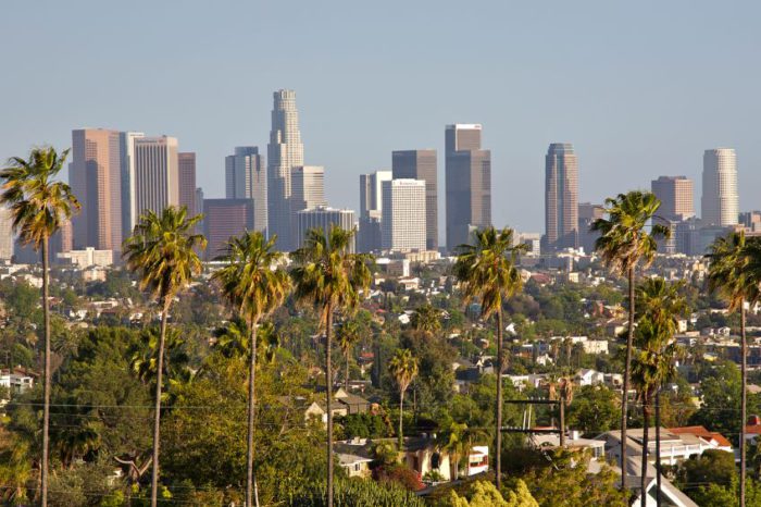 A skyline view of Los Angeles with numerous high-rise buildings in the background, lush greenery in the foreground